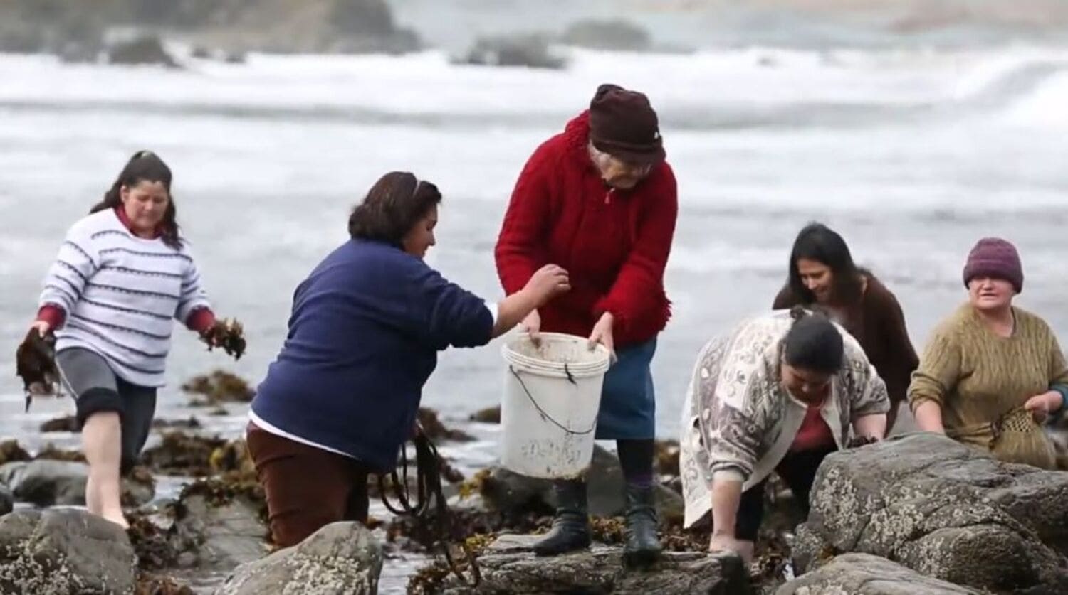 Algueras. Imagen de la Subsecretaría de Pesca y Acuicultura.
