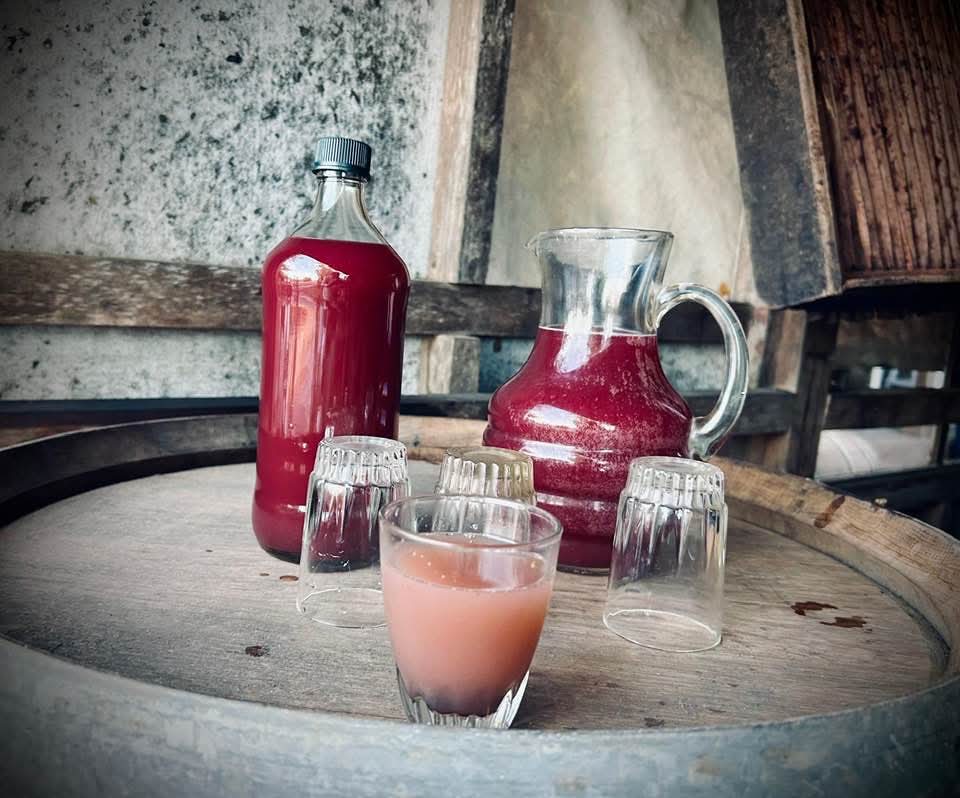 Chicha de La Estrella. Foto gentileza de José Andrés Zamorano.