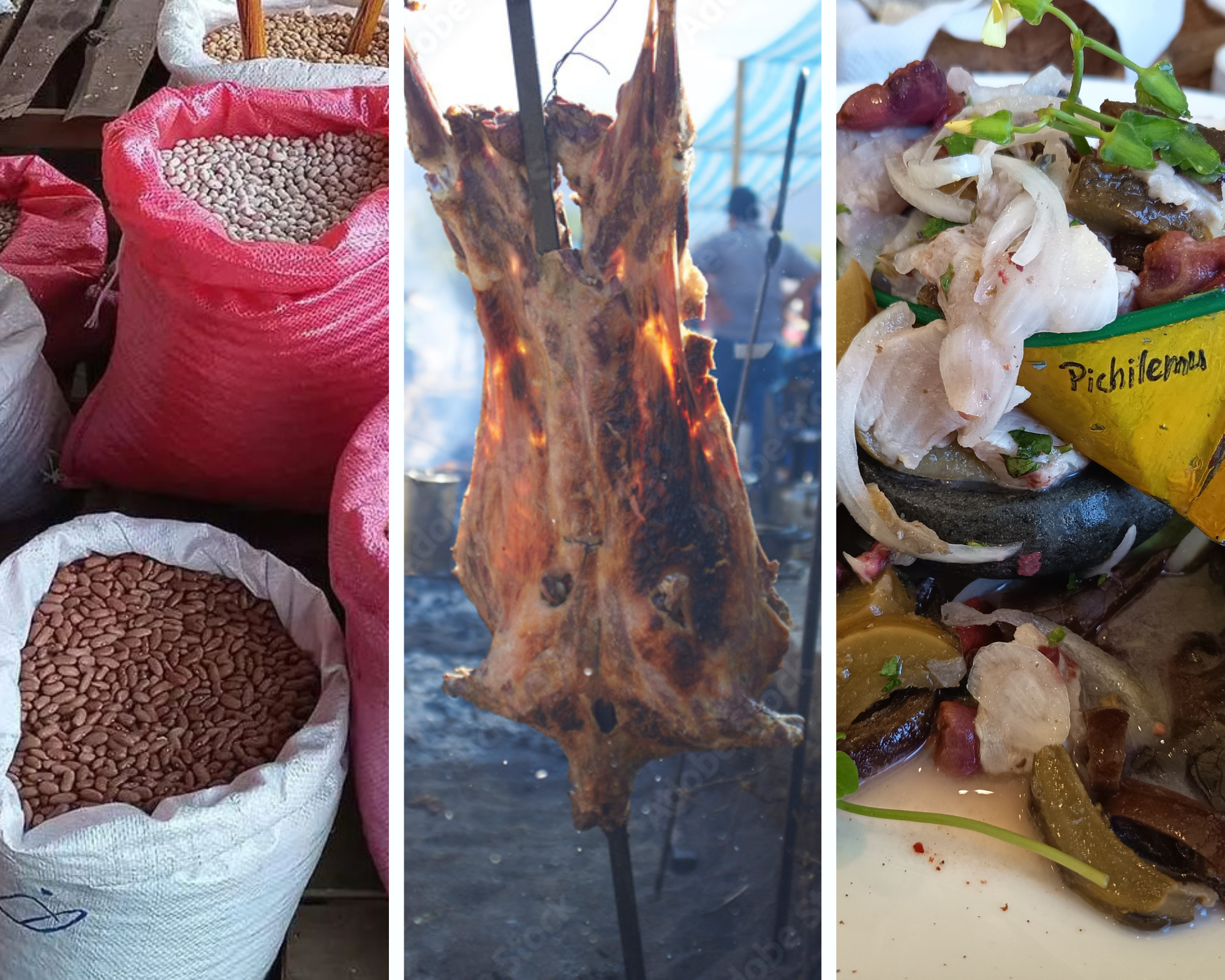 Gastronomía