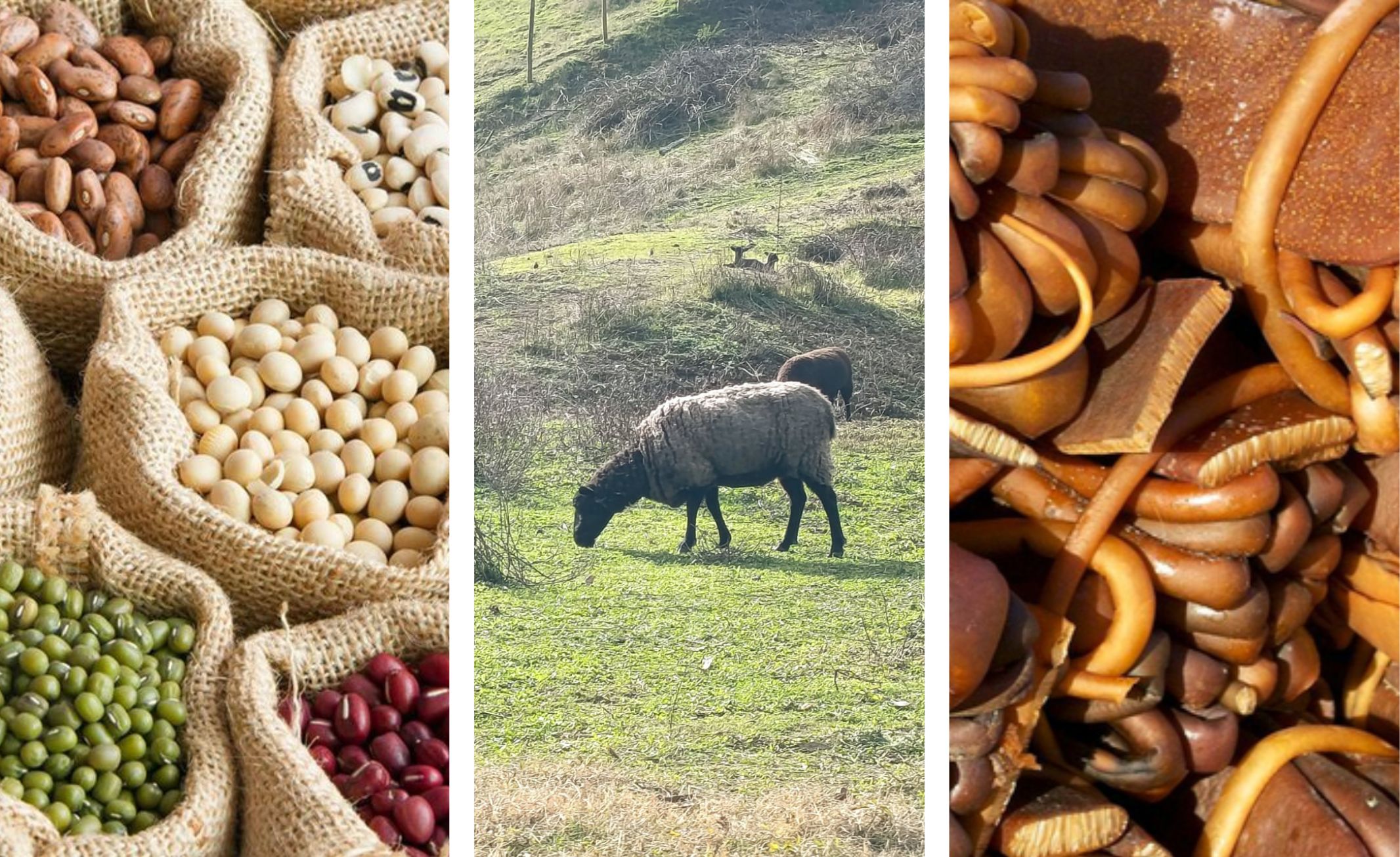 Litueche, cocina criolla y elementos identitarios