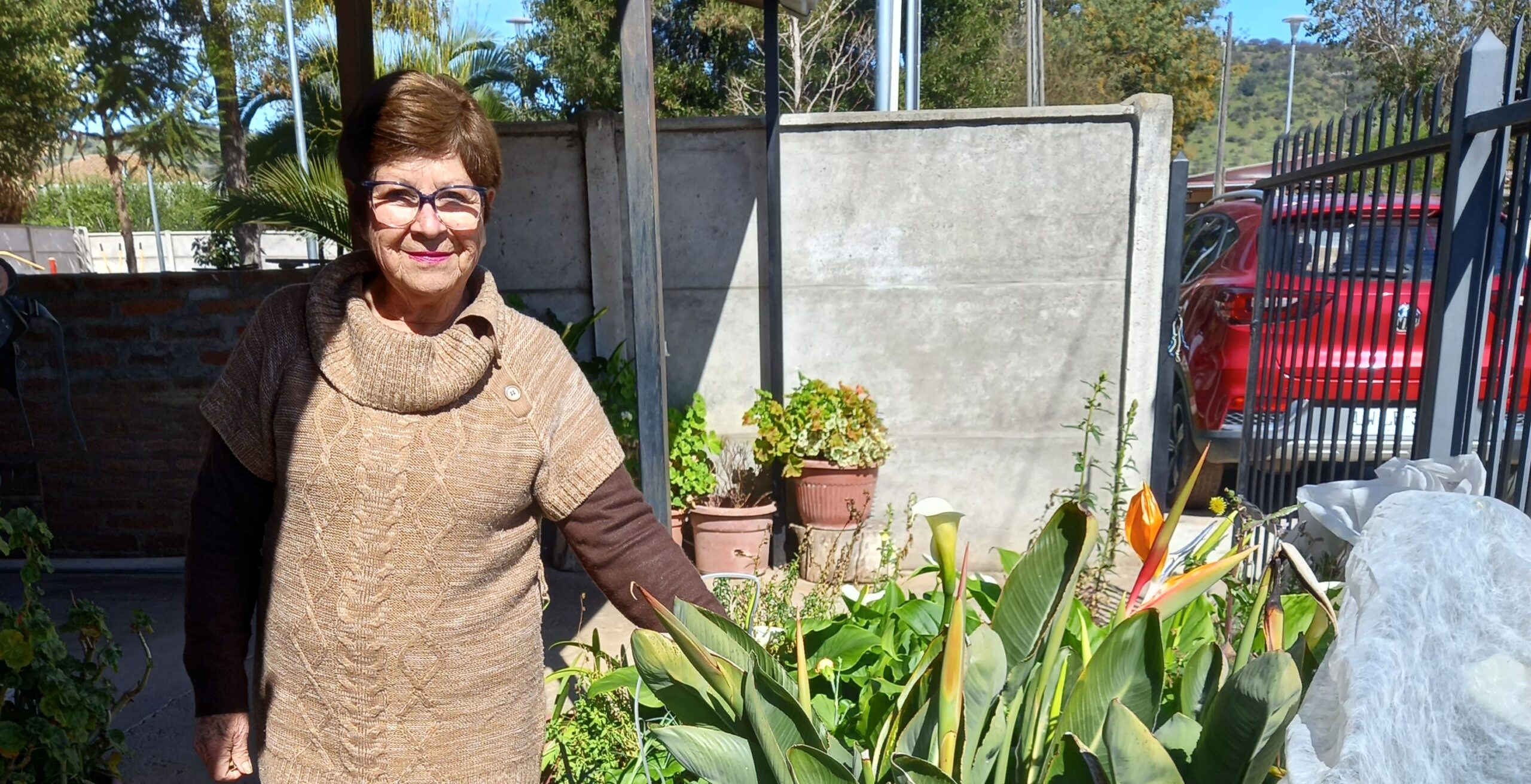 Cocina de casa y memoria rural: los saberes culinarios de Clemencia Acevedo
