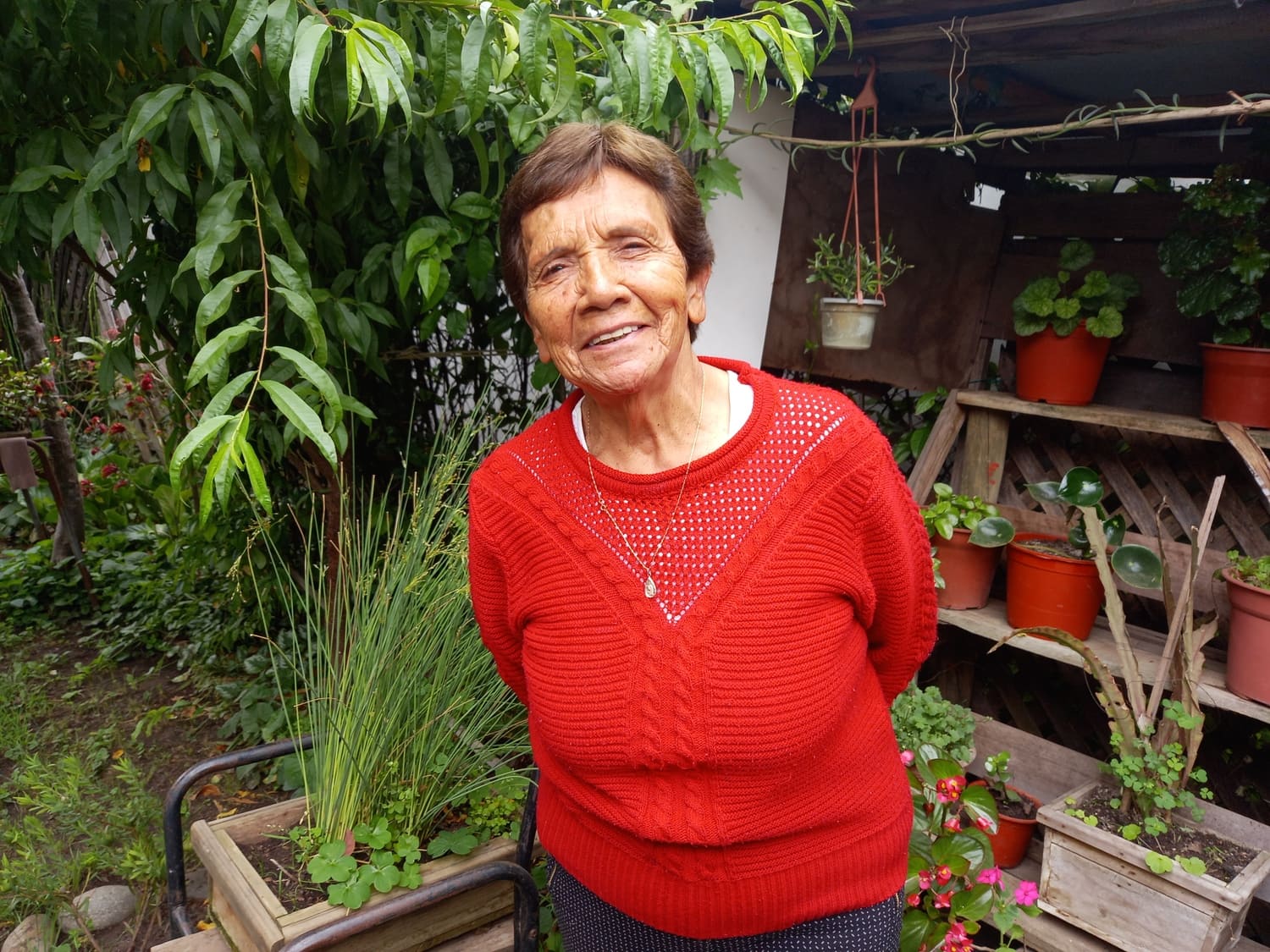 Doña Iris Morales: Sueños que llevan lejos