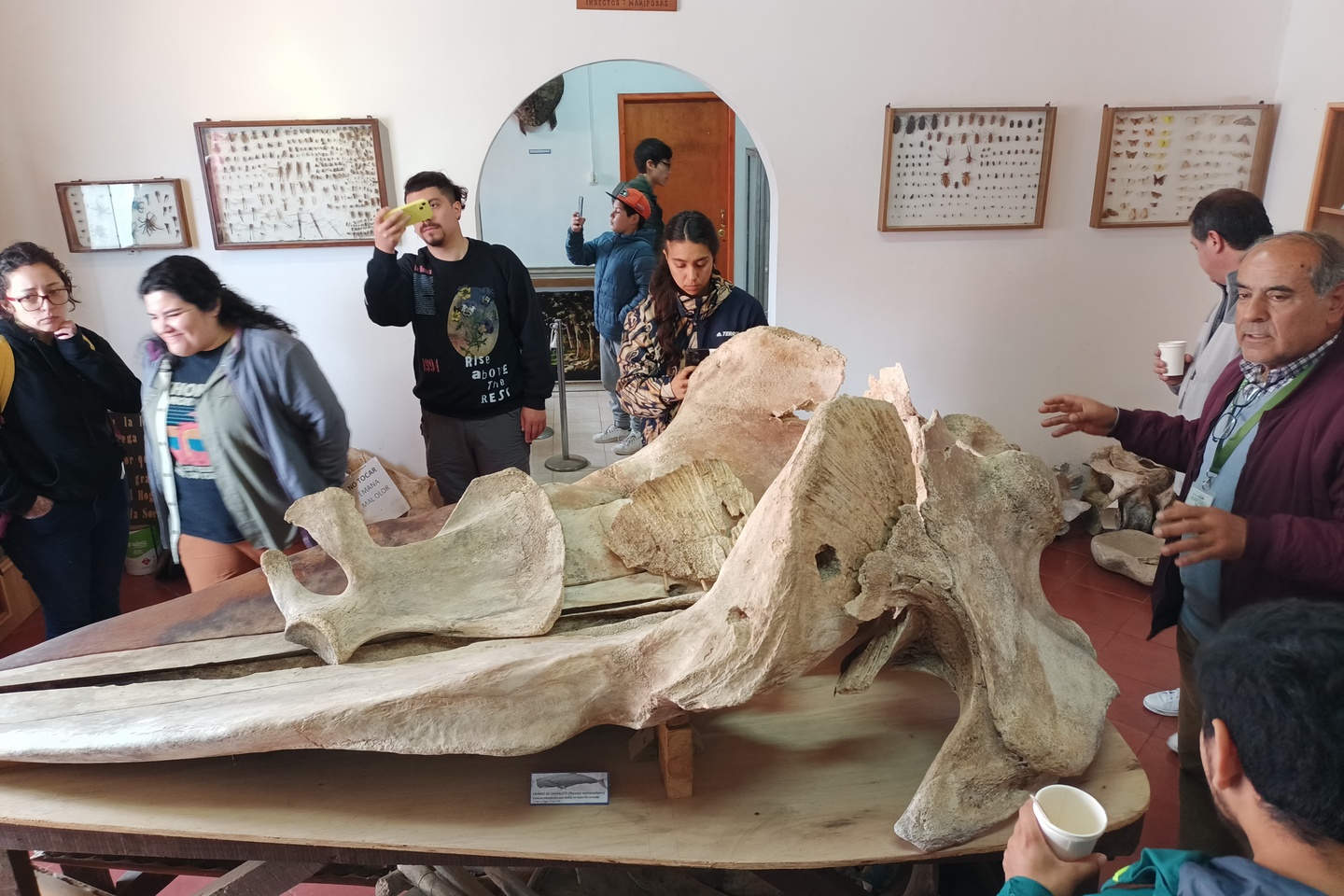 Museo de Navidad renueva sus instalaciones